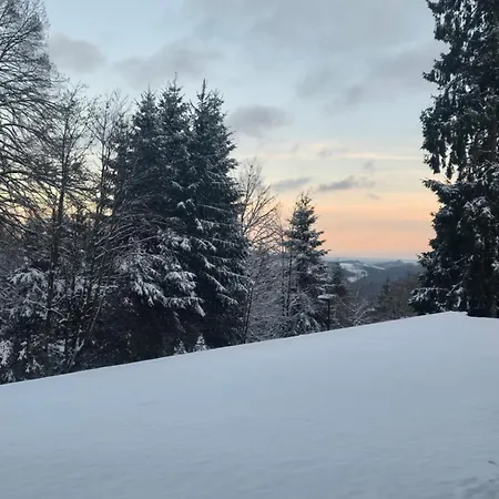 Apartament Deluxe Mit Private Sauna *