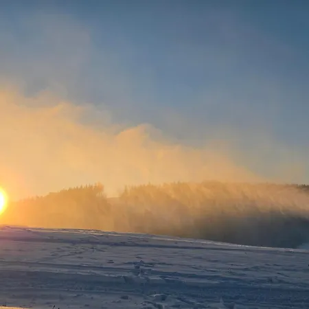 Deluxe Mit Private Sauna Апартаменты *