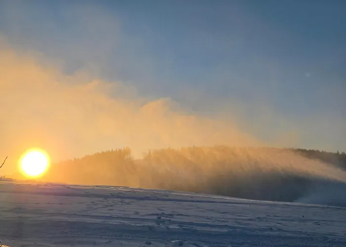 Deluxe Mit Private Sauna 아파트 *