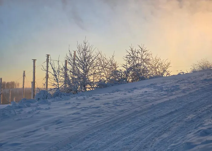 Deluxe Mit Private Sauna * 빈터베르크